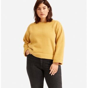 EUC Everlane The Renew Plush Fleece Sweatshirt Top